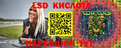 крисы Волгодонск