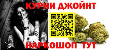 крисы Волгодонск