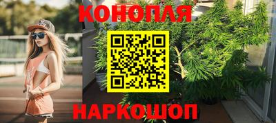 крисы Волгодонск