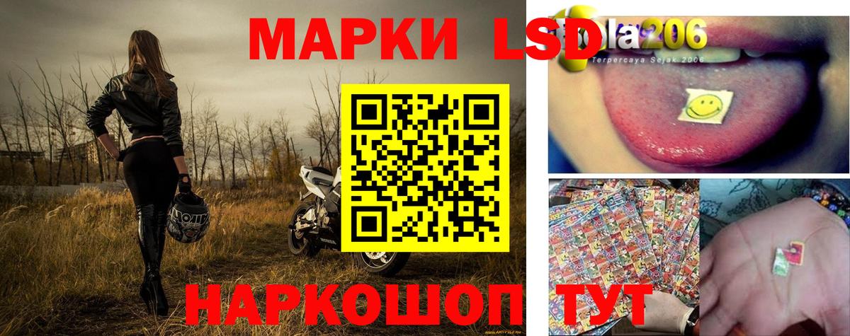 Марки N-bome  Марки N-bome 1,8мг  Новоуральск  Вход с VPN  Марки N-bome 1,8мг 