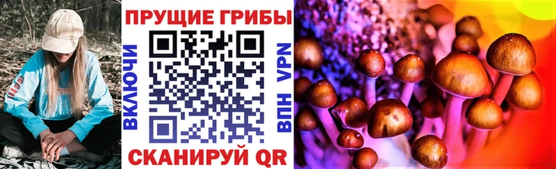 купить  сайты  Новоуральск  Псилоцибиновые грибы Cubensis 