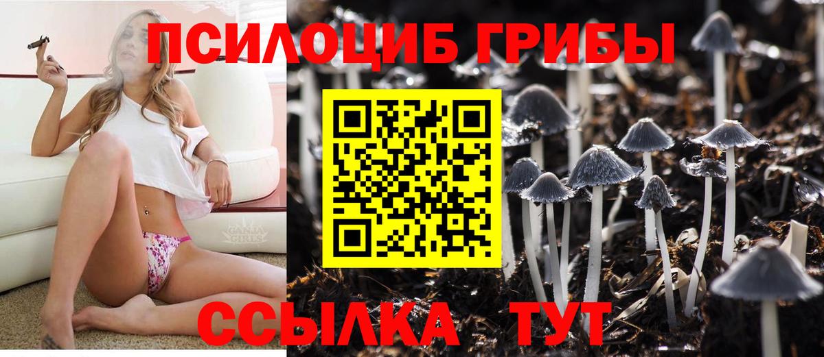 Галлюциногенные грибы мухоморы Новоуральск