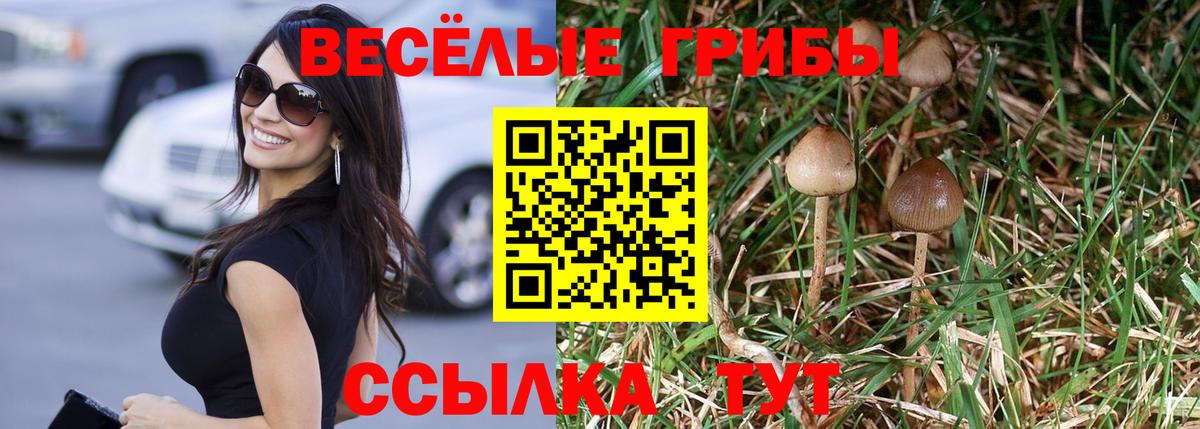 Псилоцибиновые грибы прущие грибы  Вход с VPN  Новоуральск 